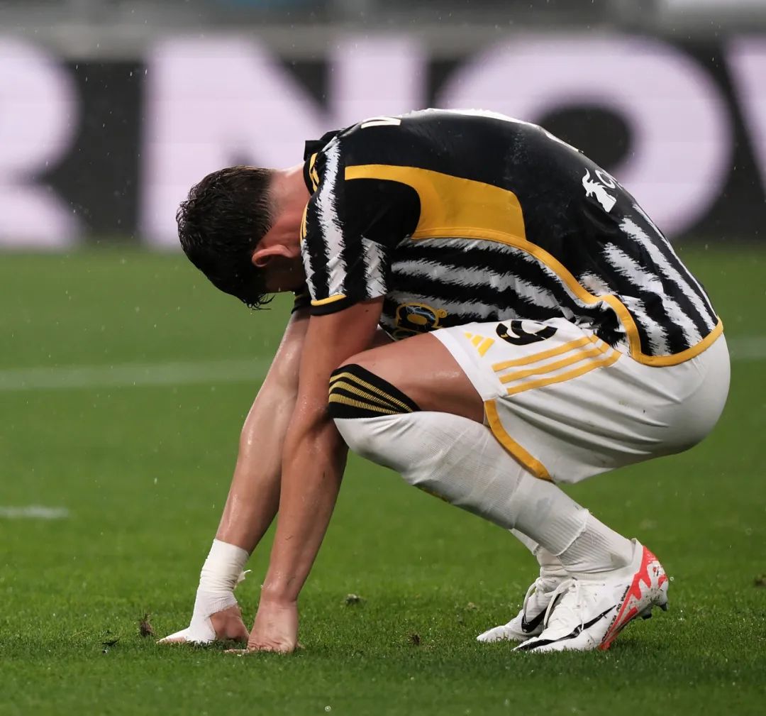 包括栩栩如 包括栩栩如